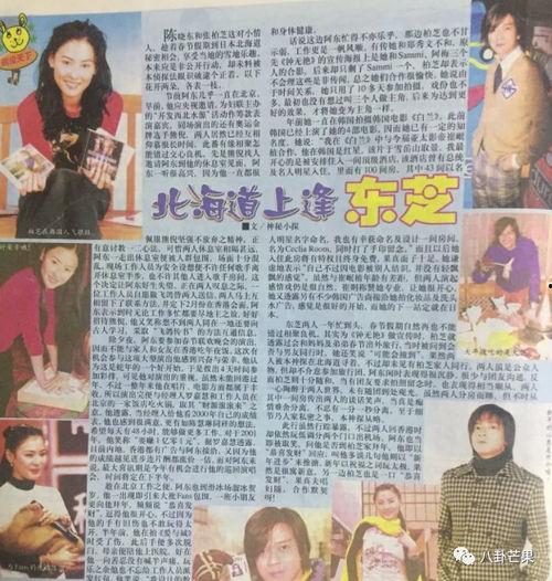 娱乐圈吃瓜系统实体书